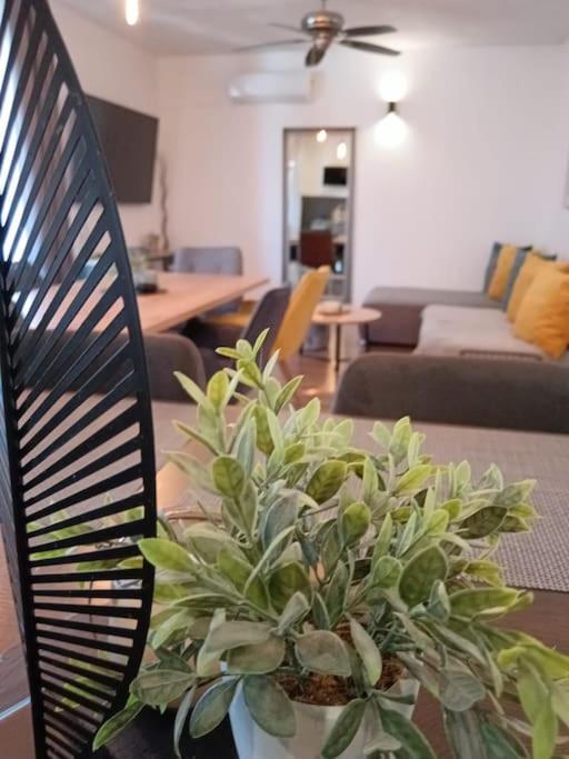 Holiday&Suite Klanac Vir Eksteriør billede